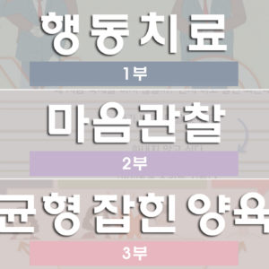 [부모교육 총3부 전체수강]  행동치료, 마음관찰, 균형 잡힌 양육